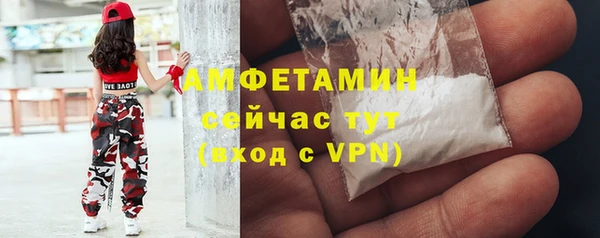 дмт Алексин