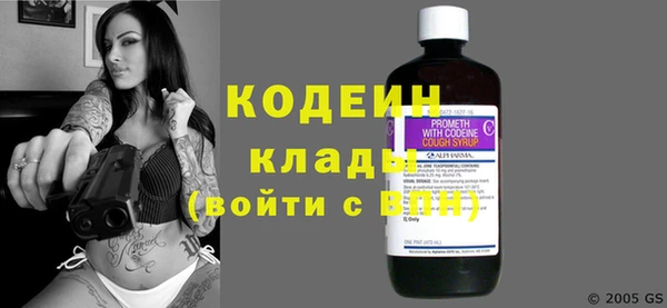 хмурый Алзамай