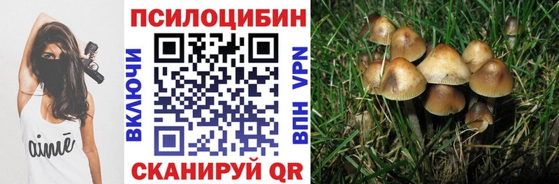 Галлюциногенные грибы прущие грибы Канаш